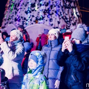 Новогодний Рататуй 2020