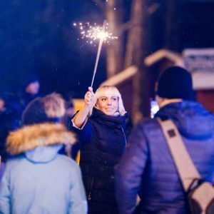Новогодний Рататуй 2020